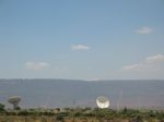 14931 Sand storms behind radio telescopes.jpg